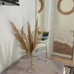Mary's