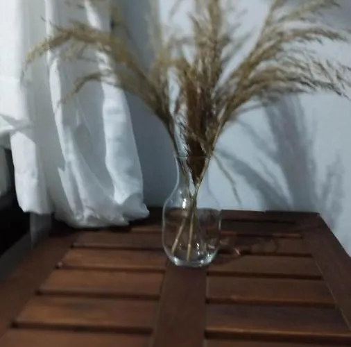 Mary's Διαμέρισμα Στόμιο