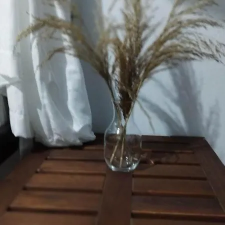 Mary's Lejlighed Stómion