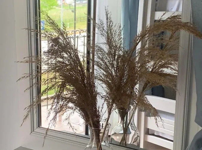 Mary's 公寓 Stómion